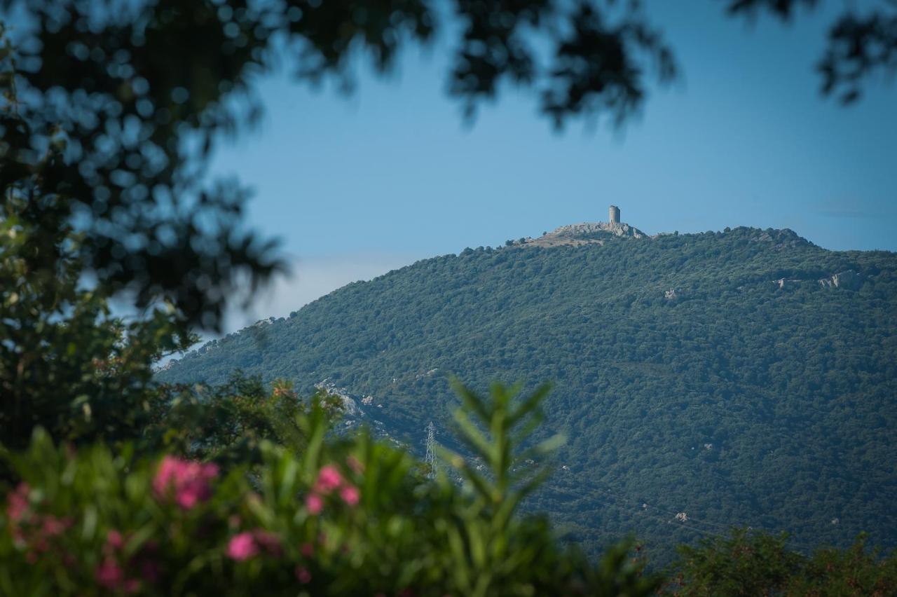Camping La Plage Argeles Buitenkant foto
